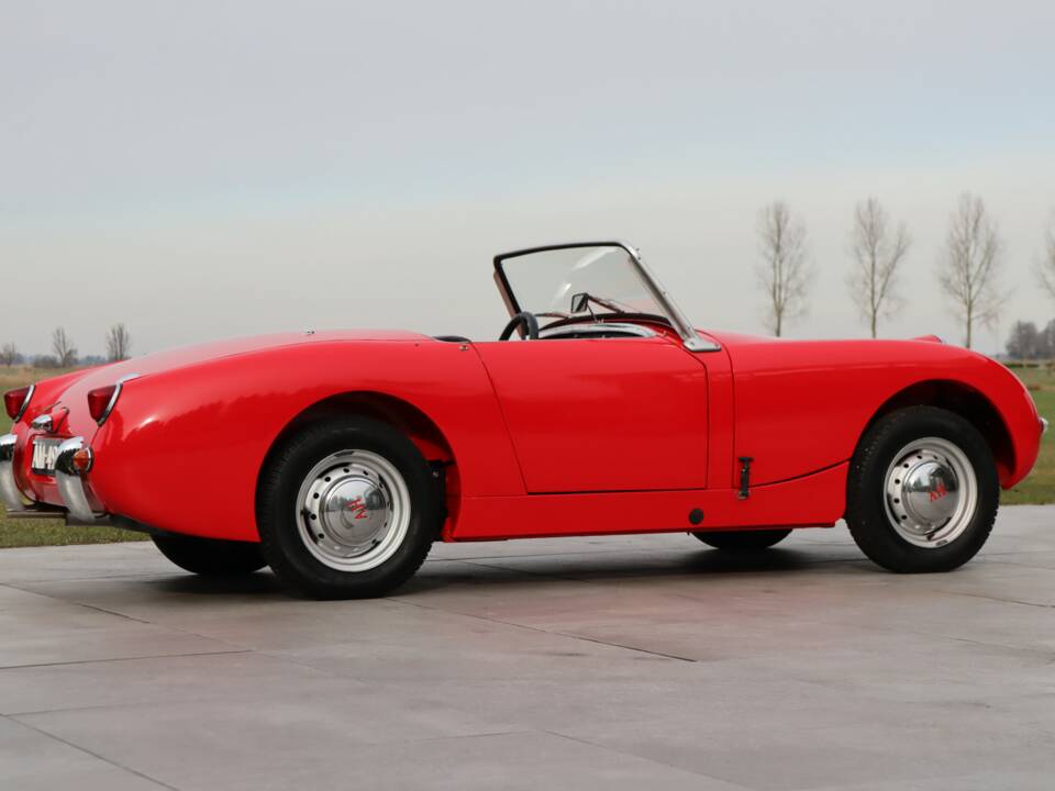Bild 21/50 von Austin-Healey Sprite Mk I (1959)