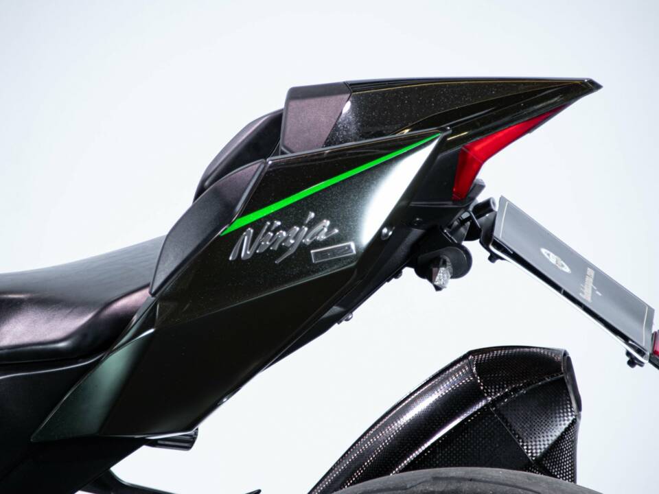 Bild 14/50 von Kawasaki DUMMY (2018)