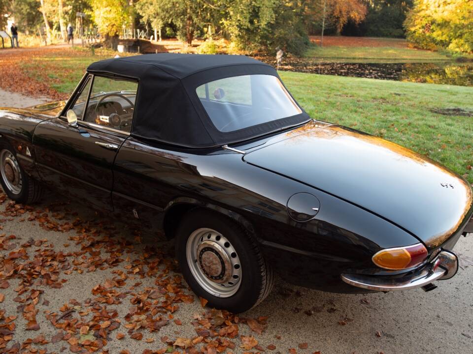 Image 15/51 of Alfa Romeo 1600 Spider Duetto (1966)