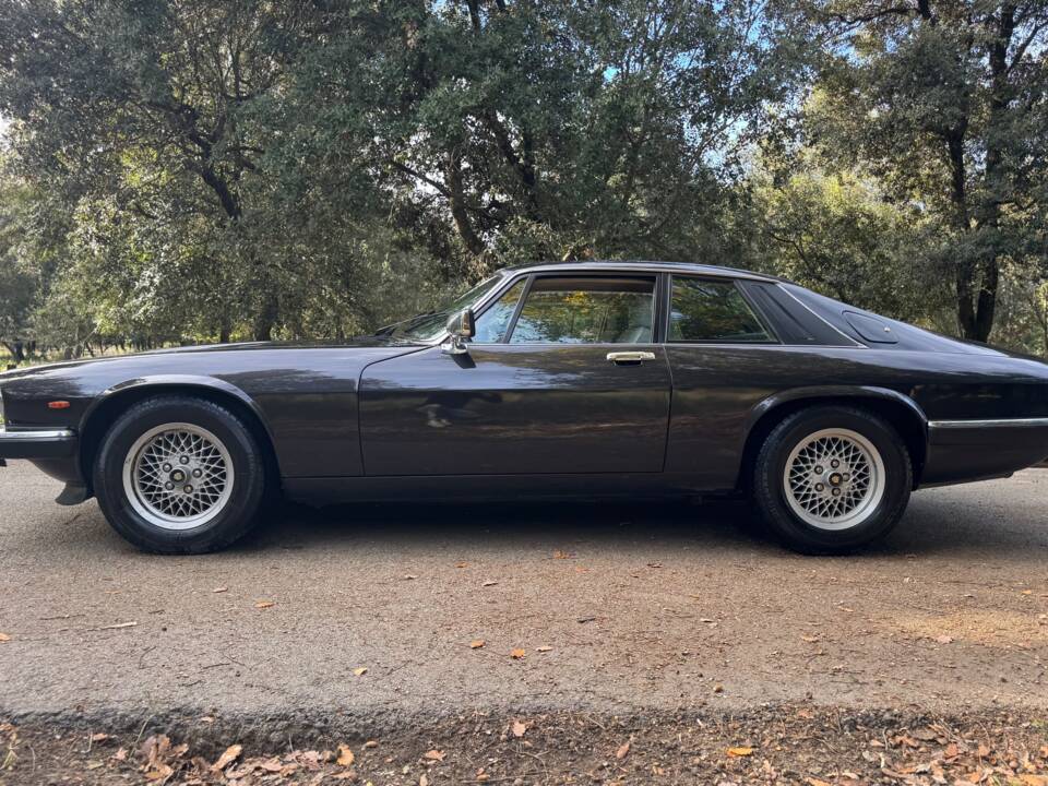 Image 7/47 of Jaguar XJ-S 3.6 (1988)