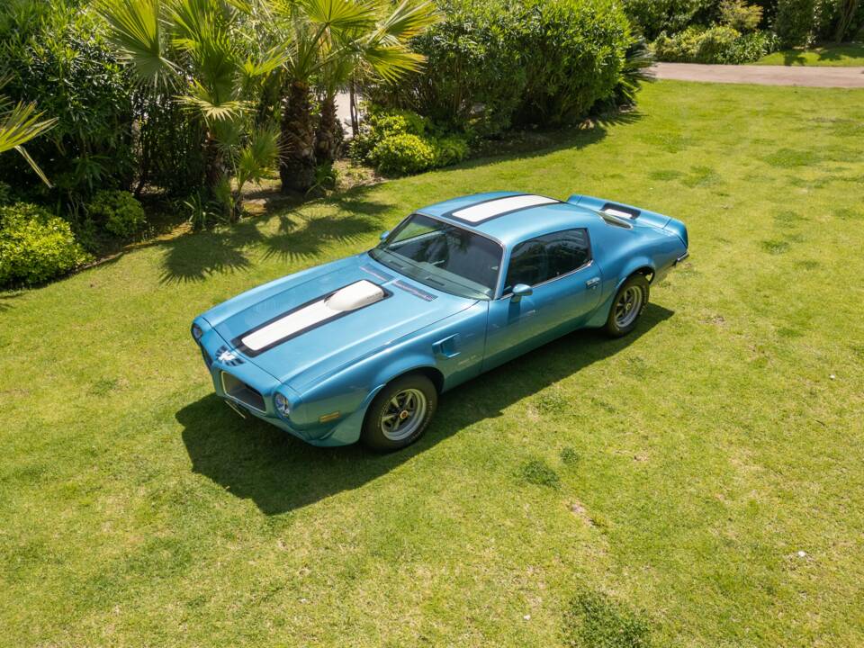 Immagine 11/13 di Pontiac Firebird TransAm (1971)