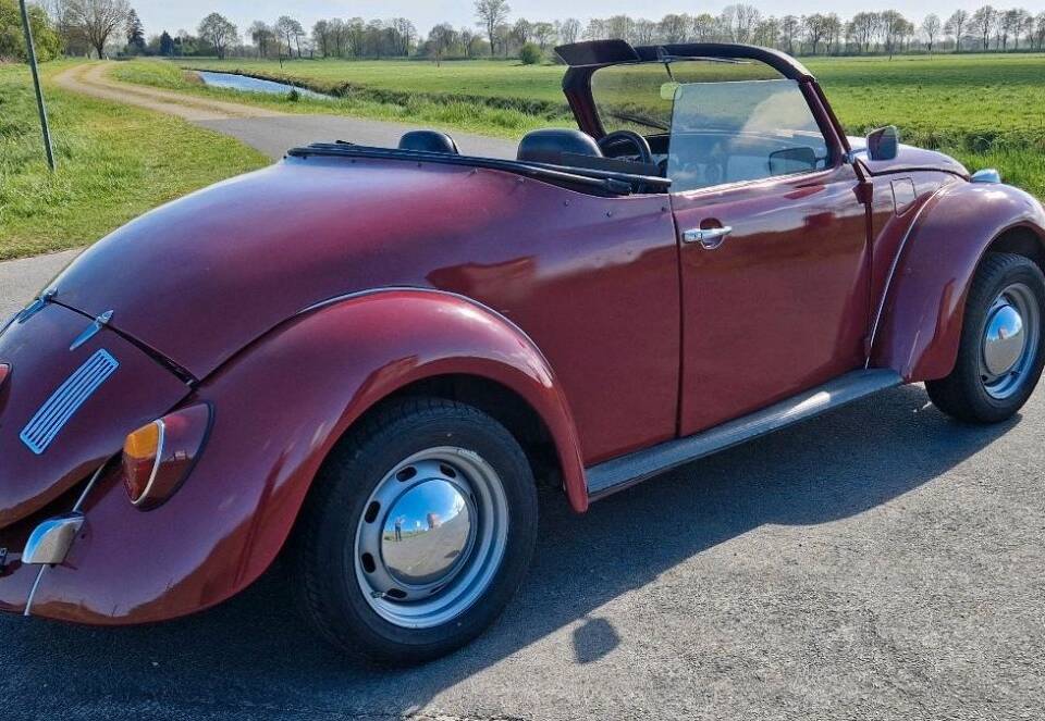 Bild 1/34 von Volkswagen Coccinelle Speedster (1971)