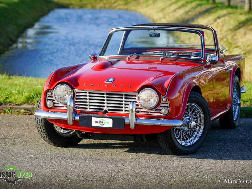 Immagine 14/42 di Triumph TR 4 (1962)