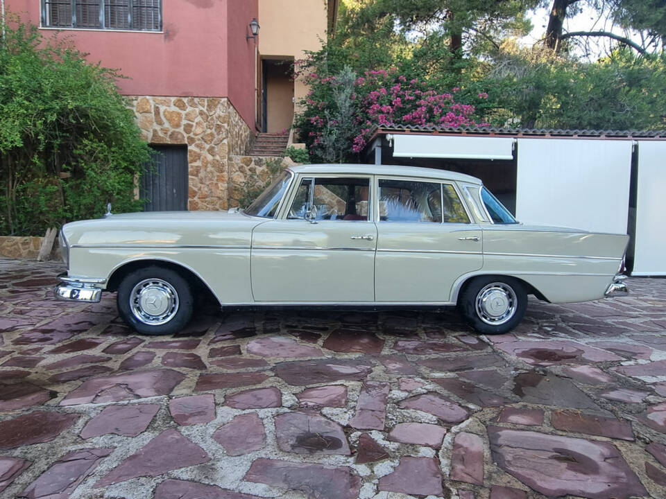 Immagine 4/8 di Mercedes-Benz 220 SE b (1965)