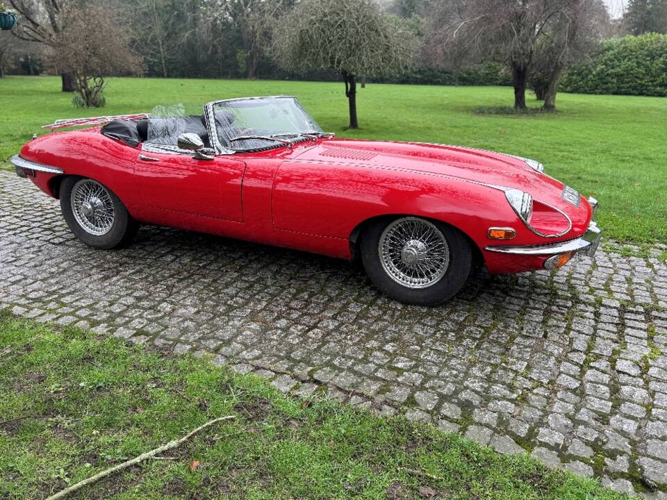 Image 6/29 de Jaguar E-Type (1969)