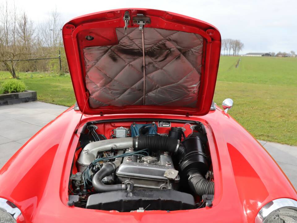 Bild 27/50 von Alfa Romeo Giulia 1600 Spider Veloce (1965)