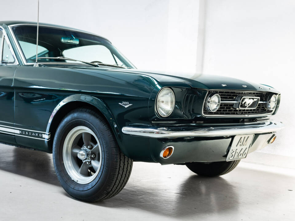 Immagine 9/31 di Ford Mustang GT (1966)