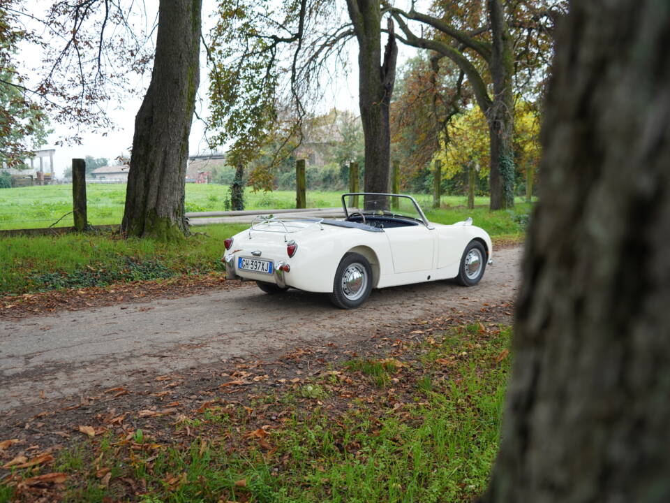 Image 17/25 of Austin-Healey Sprite Mk I (1959)