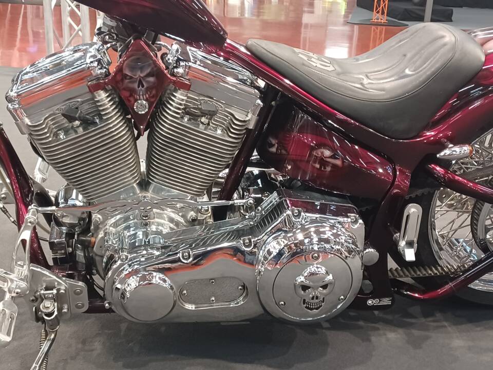 Bild 13/15 von Harley-Davidson DUMMY (2007)