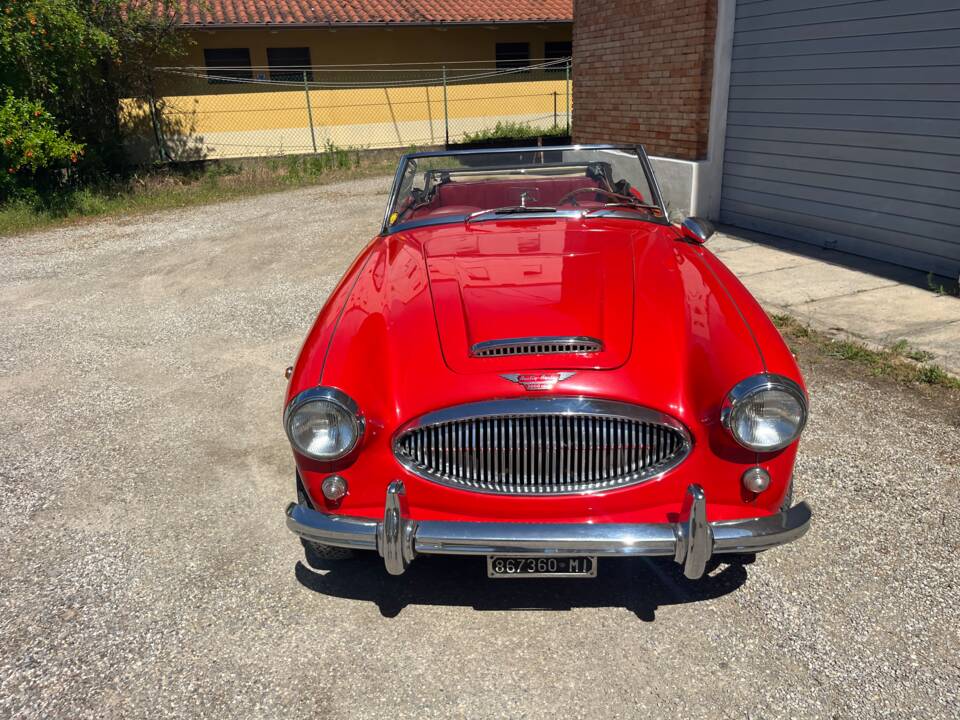 Imagen 3/19 de Austin-Healey 3000 Mk II (BJ7) (1964)