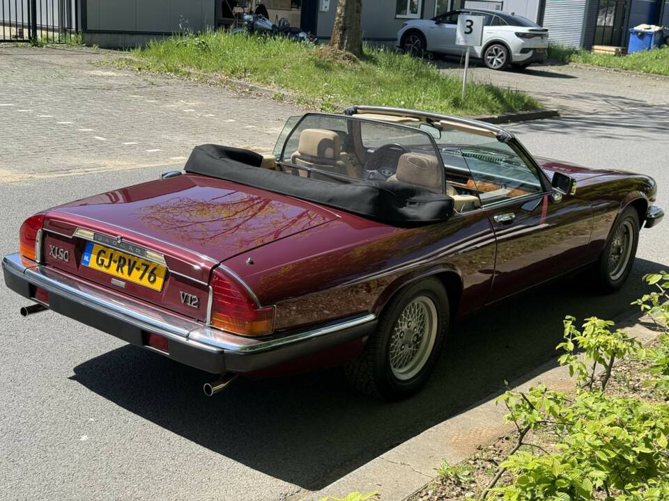 Bild 6/17 von Jaguar XJS 5.3 V12 (1989)