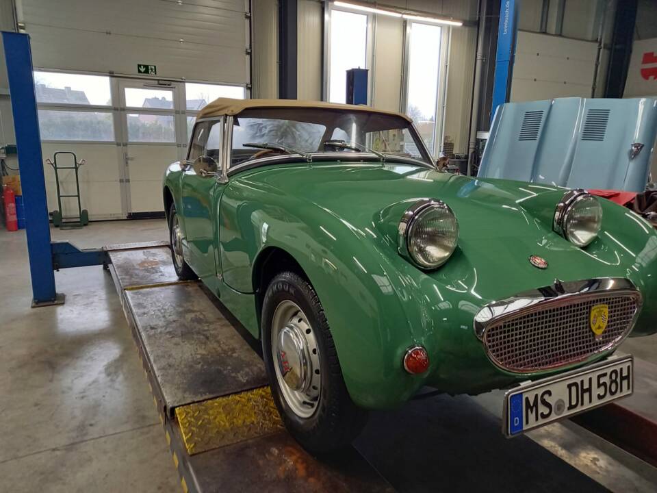 Image 4/12 of Austin-Healey Sprite Mk I (1959)