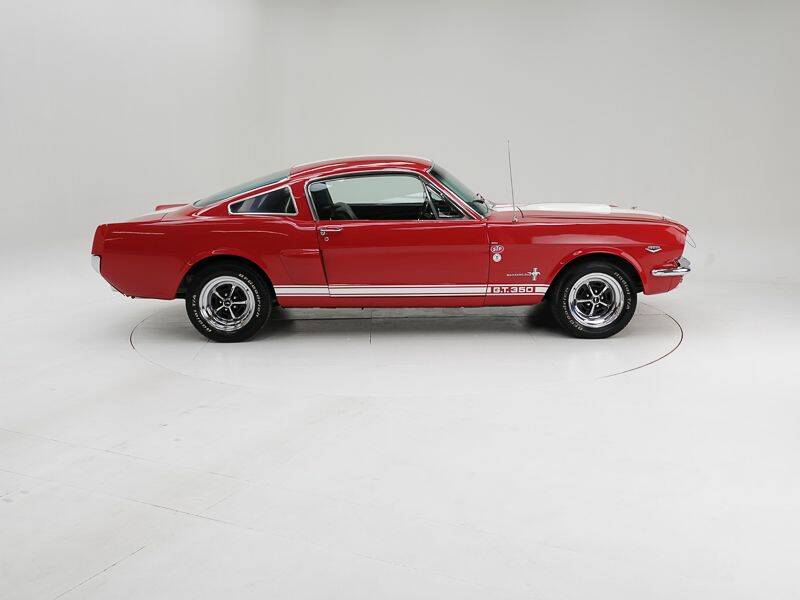 Image 6/15 of Ford Shelby GT 350 (1965)