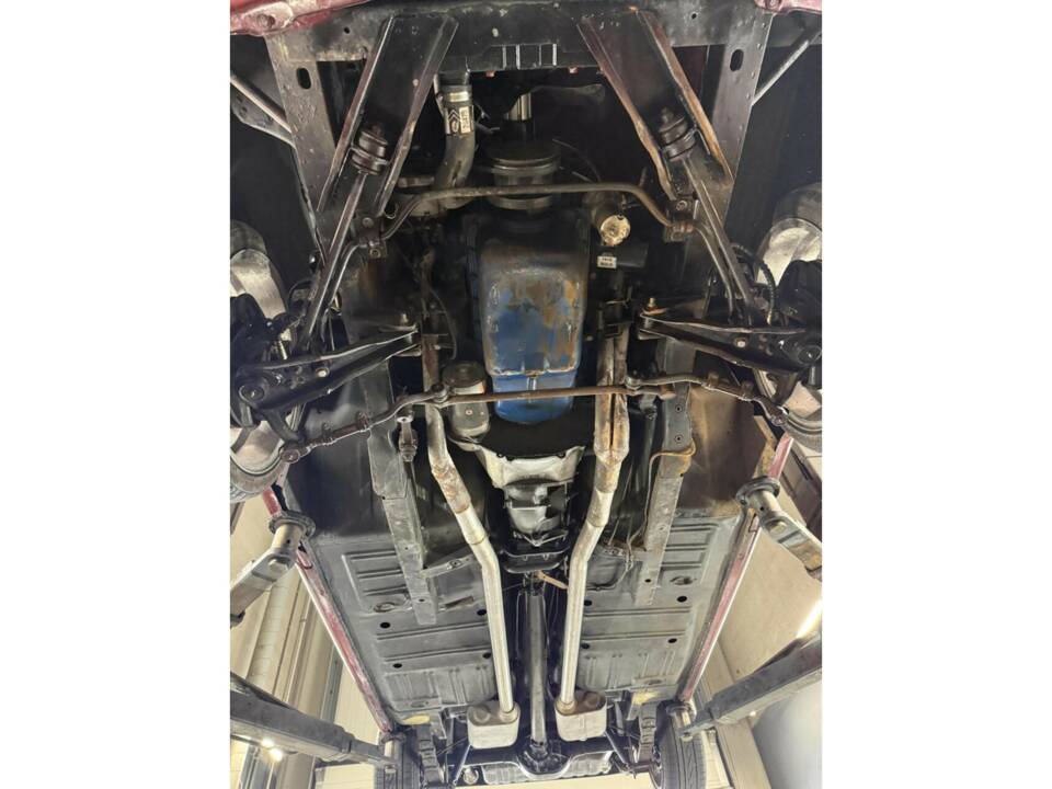Bild 37/47 von Ford Shelby GT 350 (1966)