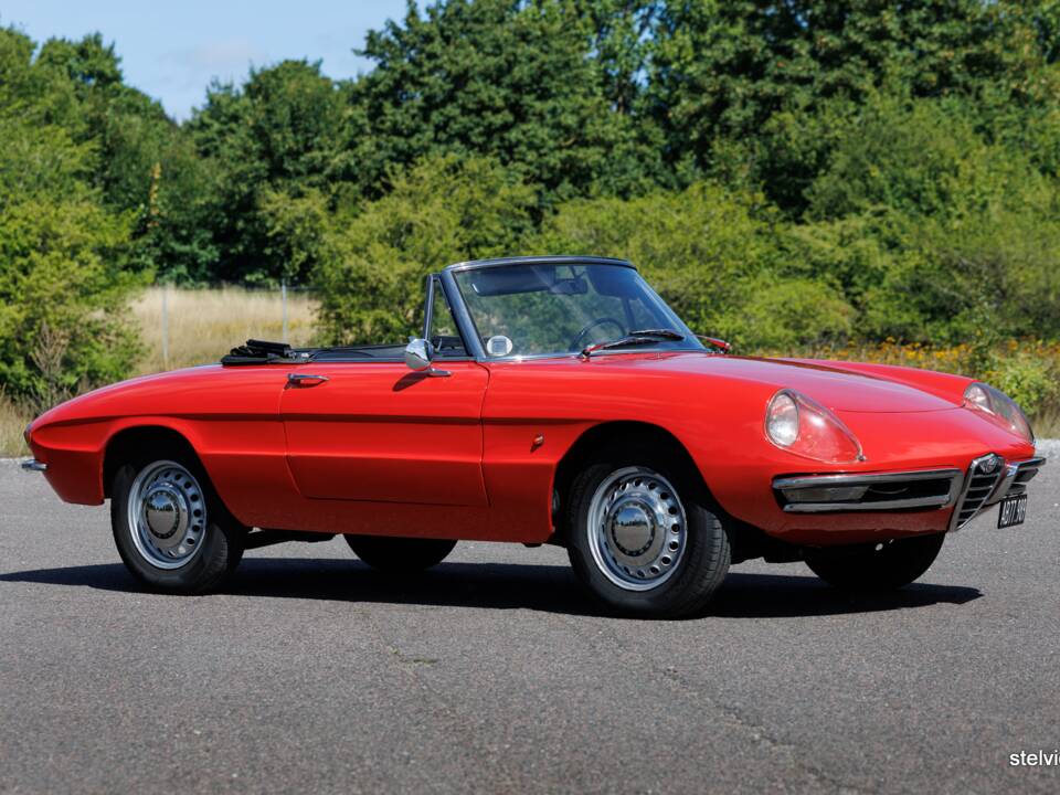 Afbeelding 5/37 van Alfa Romeo 1600 Spider Duetto (1966)
