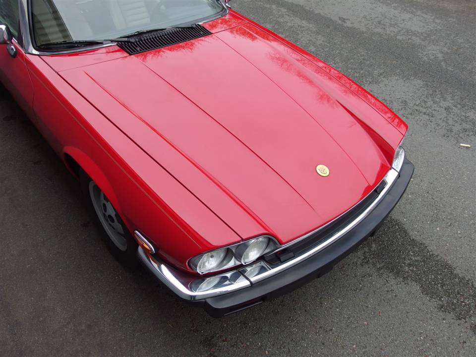 Image 9/80 de Jaguar XJS 5.3 V12 (1990)