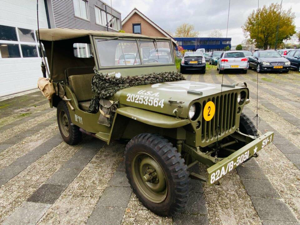 Image 6/42 of Willys MB (1942)