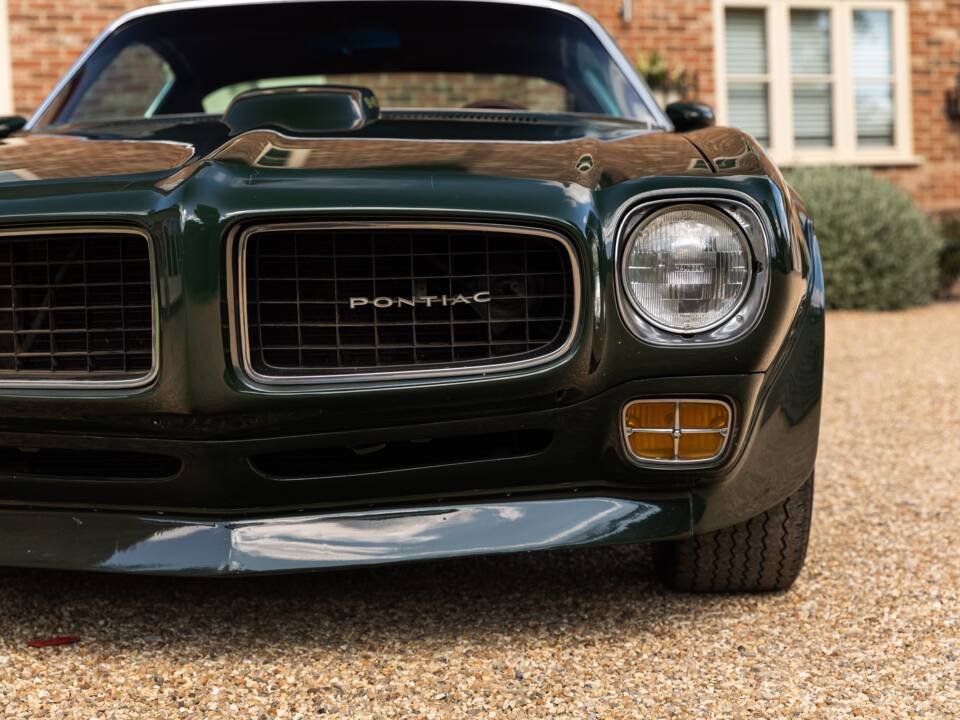 Immagine 9/49 di Pontiac Firebird TransAm (1973)