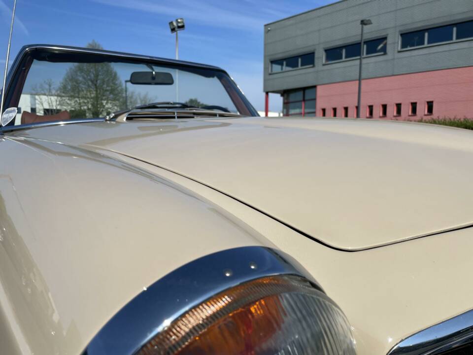 Immagine 42/50 di Mercedes-Benz 280 SL (1969)
