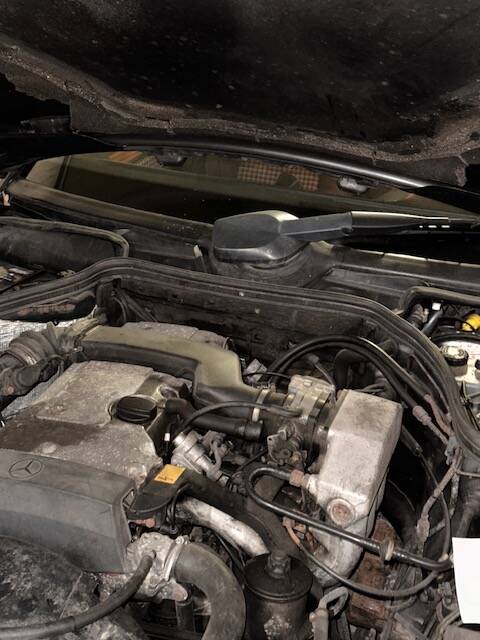 Afbeelding 14/74 van Mercedes-Benz 220 TE (1993)