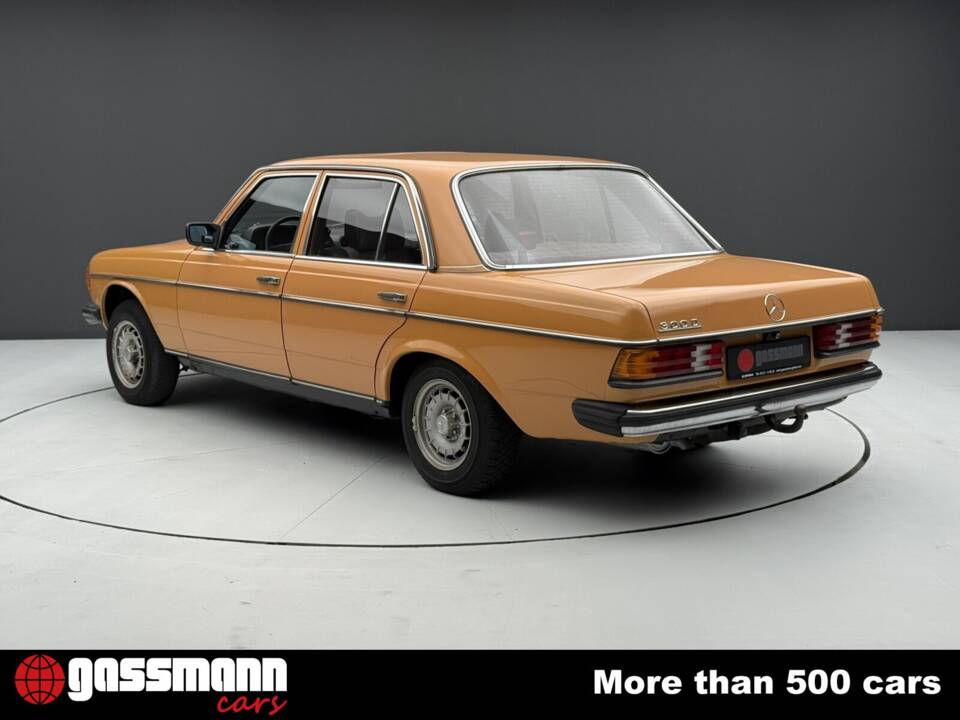 Immagine 6/15 di Mercedes-Benz 300 D (1977)