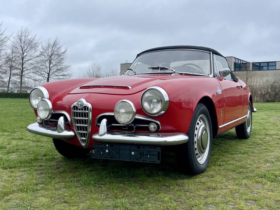 Bild 12/24 von Alfa Romeo Giulia 1600 Spider (1963)