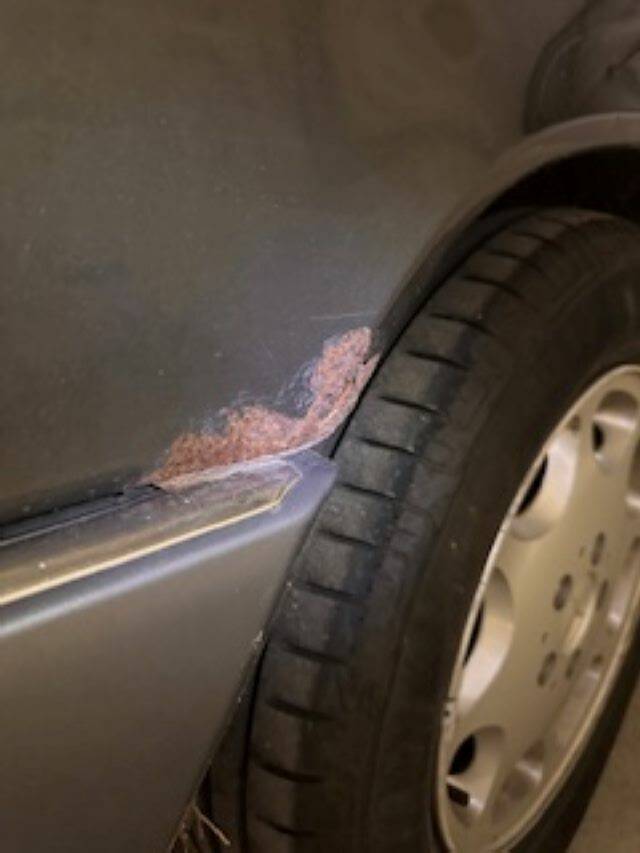 Afbeelding 50/74 van Mercedes-Benz 220 TE (1993)