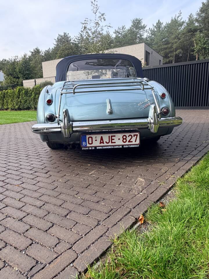 Afbeelding 7/21 van Austin-Healey 3000 Mk II (BJ7) (1963)