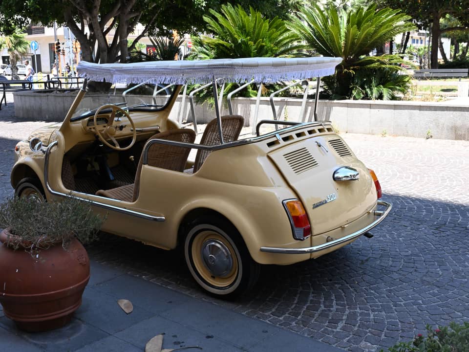 Bild 14/50 von FIAT Ghia 500 Jolly (1970)