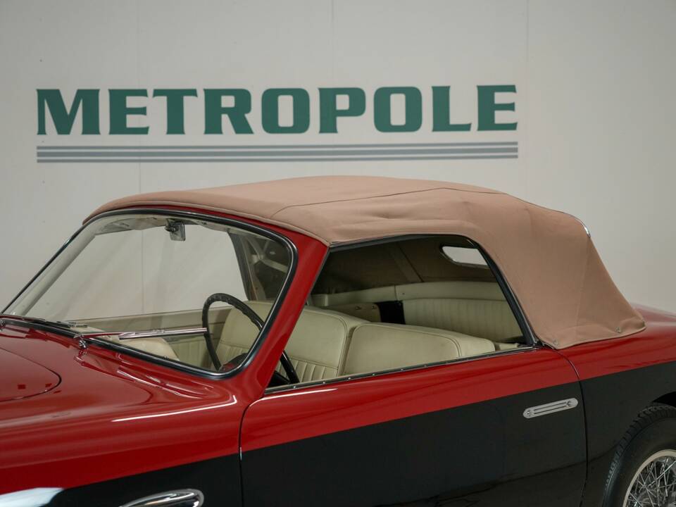 Immagine 8/50 di Siata-Ford 208 S (1952)