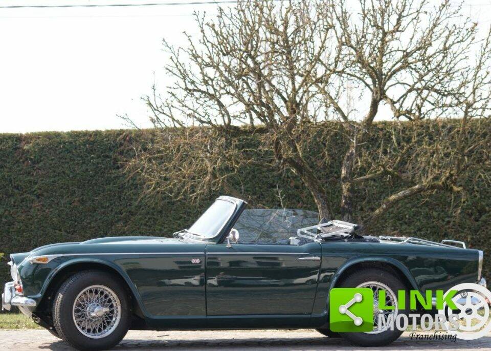 Immagine 8/10 di Triumph TR 4 (1965)