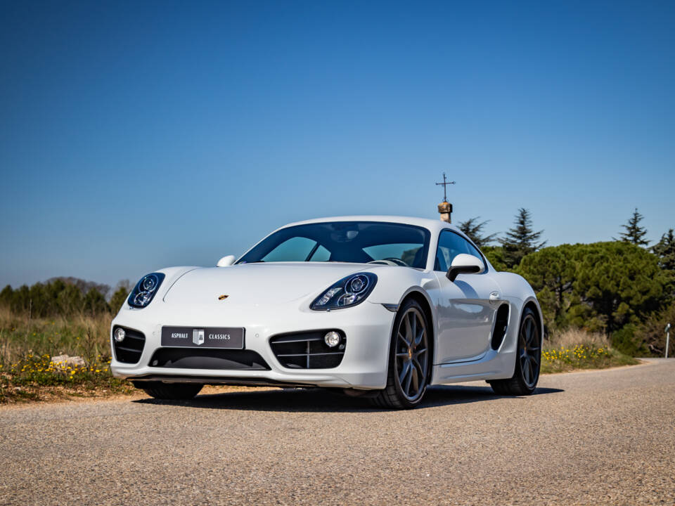 Bild 45/50 von Porsche Cayman S (2013)