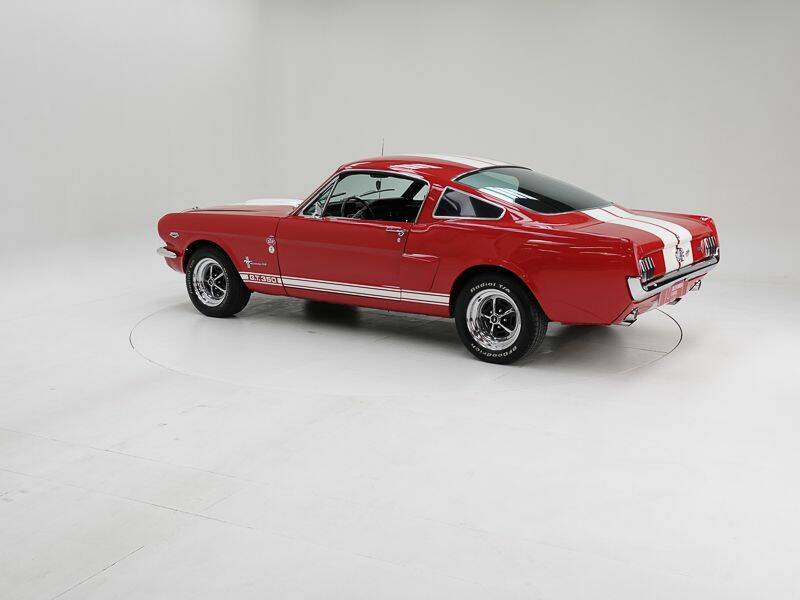 Image 4/15 of Ford Shelby GT 350 (1965)