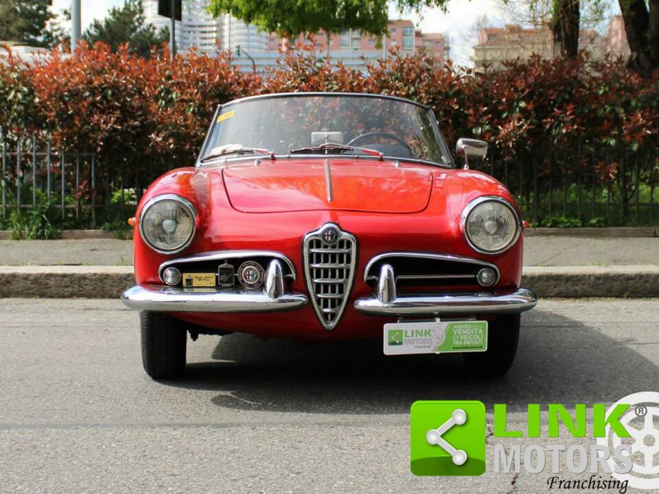 Bild 10/10 von Alfa Romeo Giulietta Spider (1961)