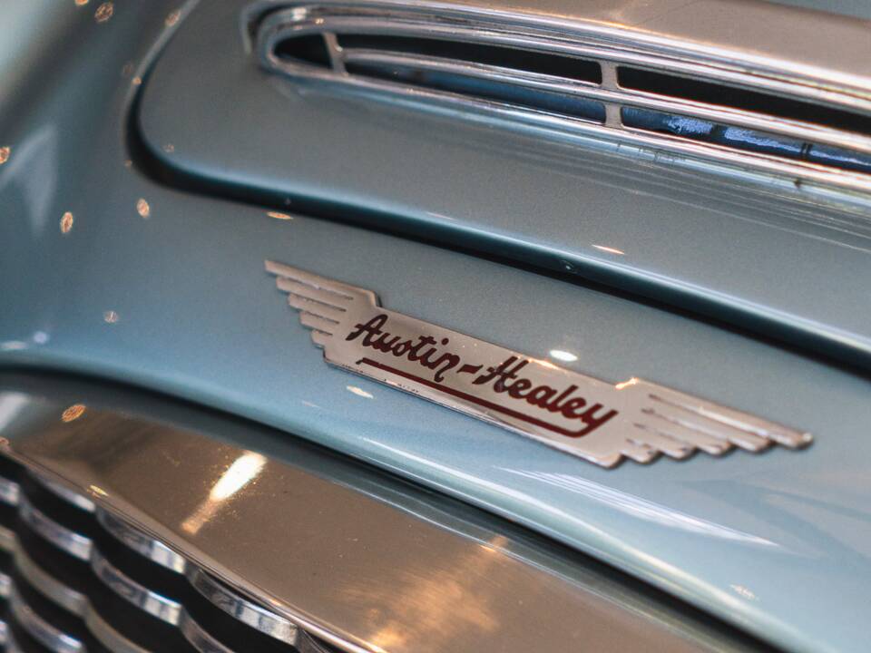 Image 14/30 of Austin-Healey 3000 Mk I (BT7) (1960)