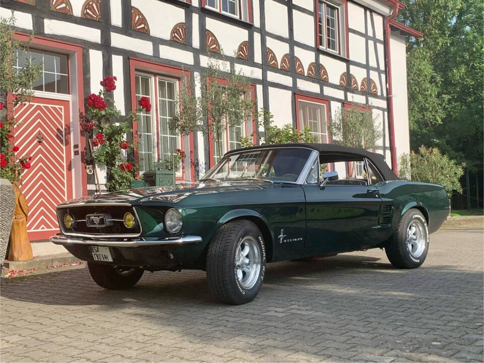 Immagine 10/16 di Ford Mustang 302 (1967)