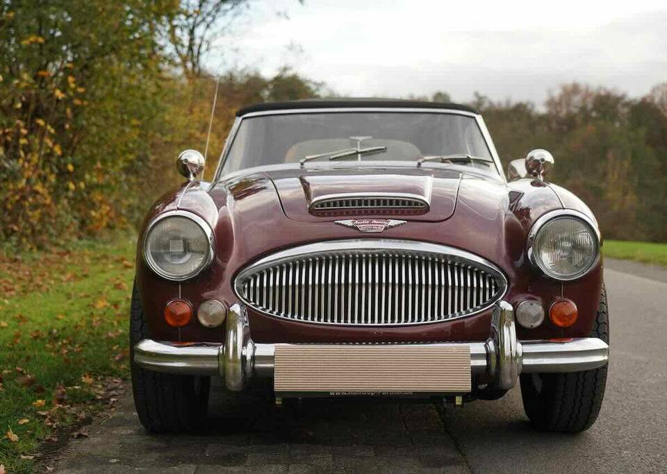 Afbeelding 5/8 van Austin-Healey 3000 Mk III (BJ8) (1967)