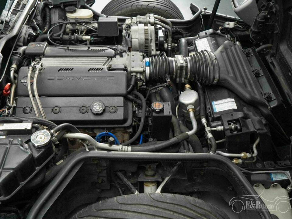 Image 19/19 of Chevrolet Corvette Collector Edition Convertible (1996)