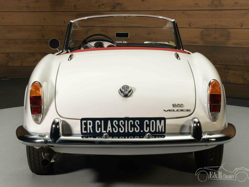 Immagine 7/19 di Alfa Romeo Giulia 1600 Spider Veloce (1964)