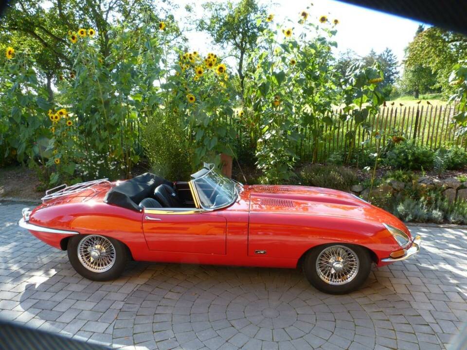 Imagen 4/21 de Jaguar E-Type 4.2 (1967)