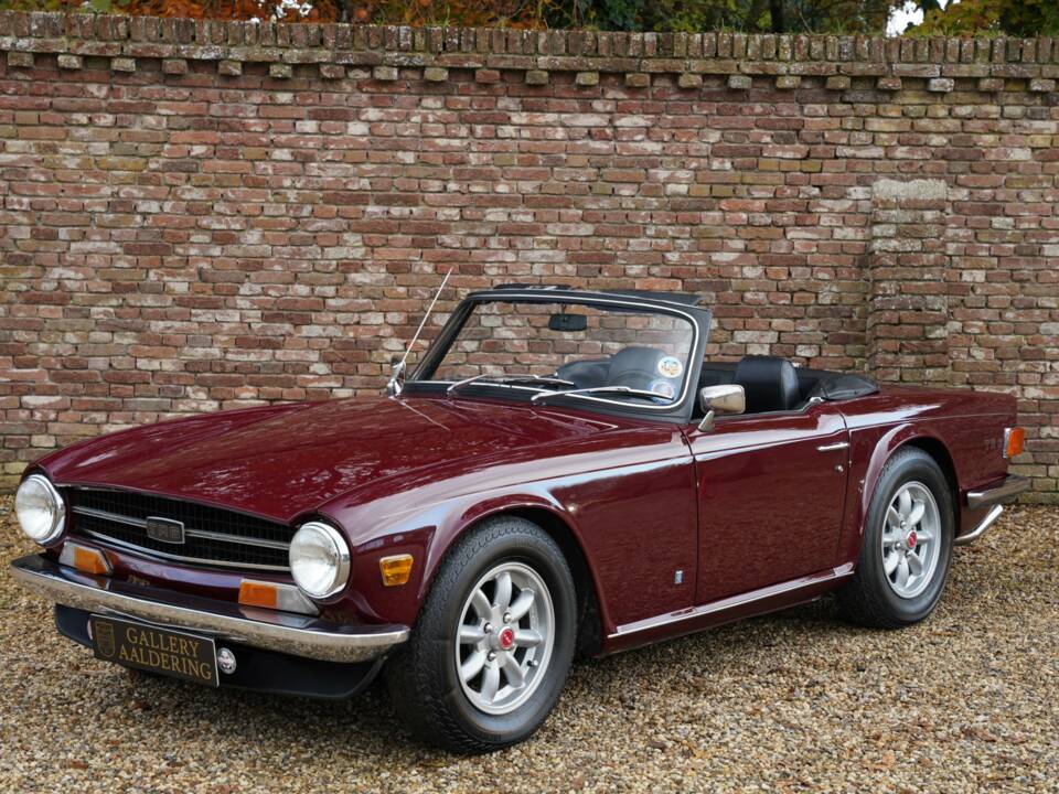 Bild 1/50 von Triumph TR 6 (1971)