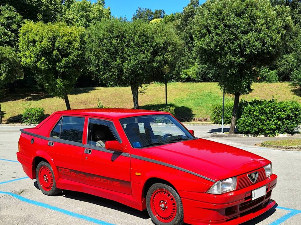 Bild 5/24 von Alfa Romeo 75 1.8 Turbo Evoluzione (1987)