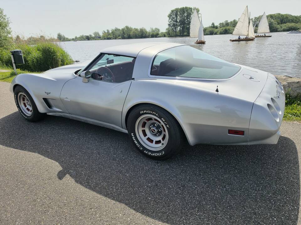 Afbeelding 7/8 van Chevrolet Corvette Sting Ray (1979)