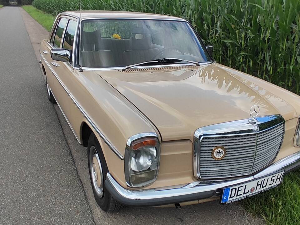 Bild 23/59 von Mercedes-Benz 230&#x2F;4 (1974)