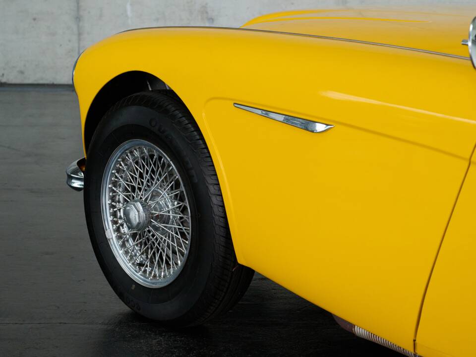 Bild 18/50 von Austin-Healey 100/6 (BN4) (1957)