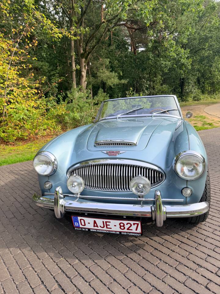 Afbeelding 1/21 van Austin-Healey 3000 Mk II (BJ7) (1963)