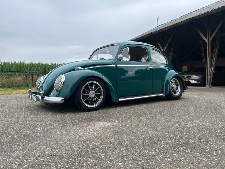 Bild 1/20 von Volkswagen Käfer 1200 Standard "Dickholmer" (1964)