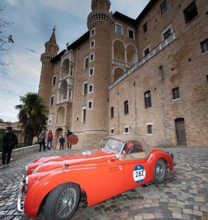 Bild 26/45 von Jaguar XK 120 SE OTS (1954)
