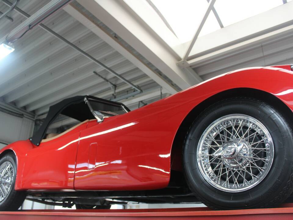 Image 12/50 of Jaguar XK 120 SE OTS (1954)