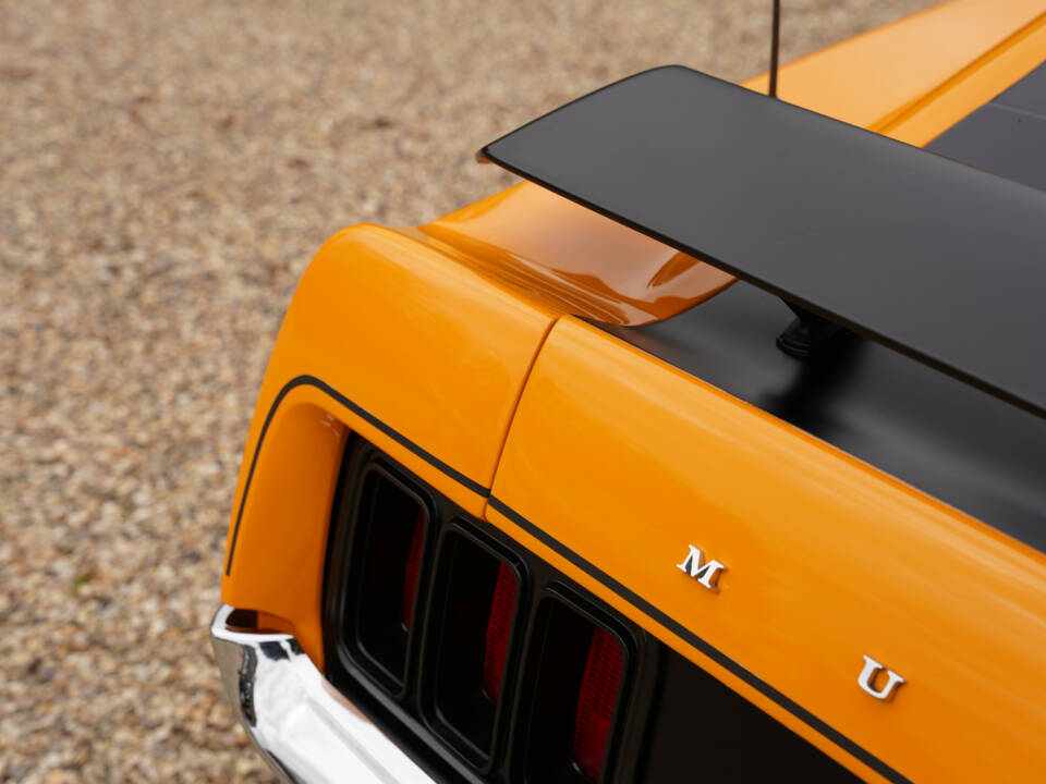 Imagen 24/50 de Ford Mustang Boss 302 (1970)